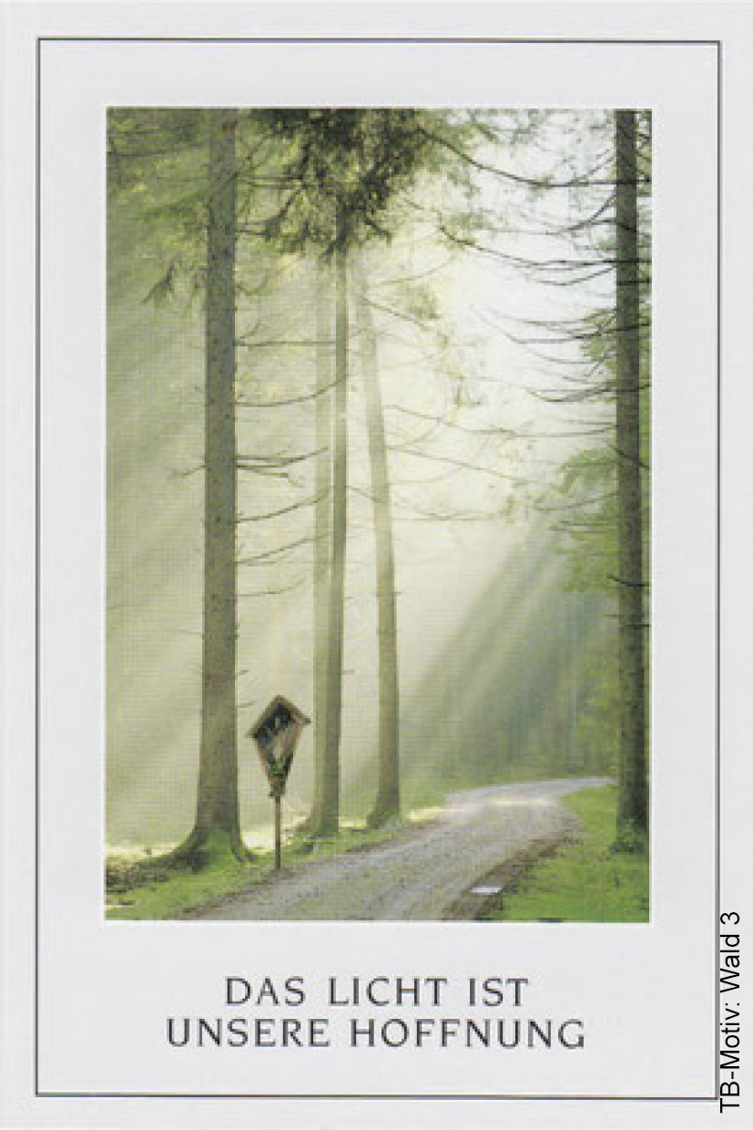 Wald Kreuz Weg