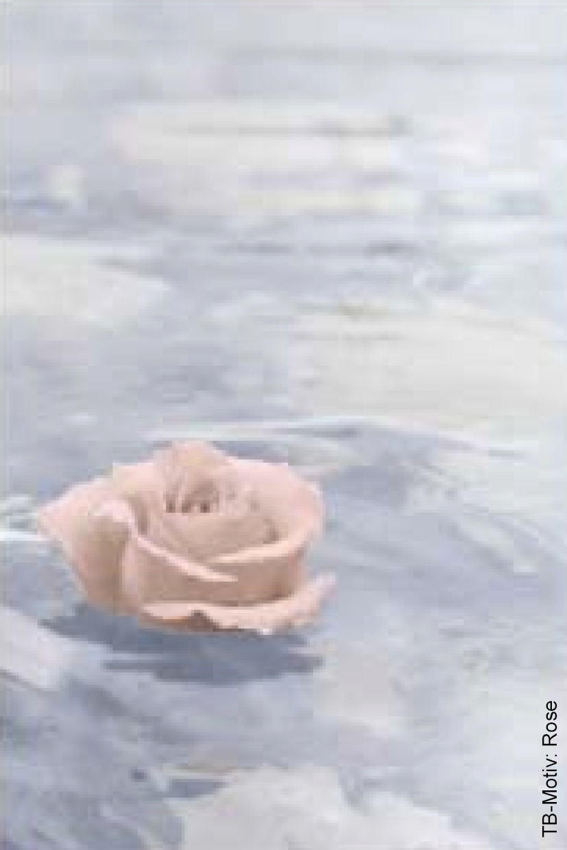 Rose blau Wasser